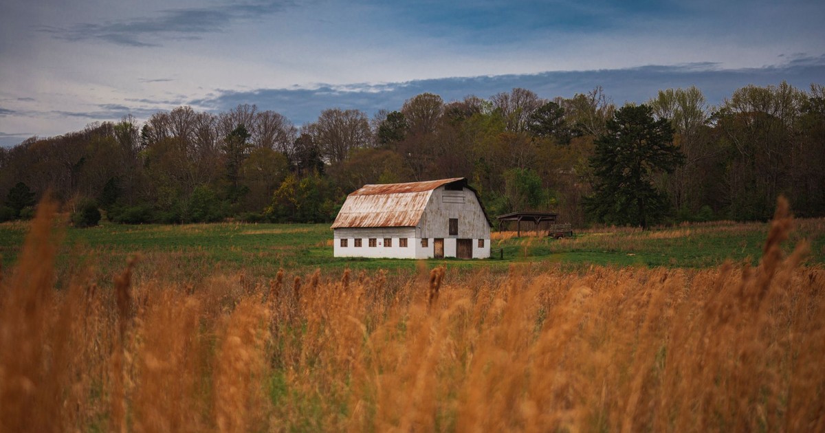 Charming white barn in a peaceful rural countryside setting near Atlanta, Georgia.