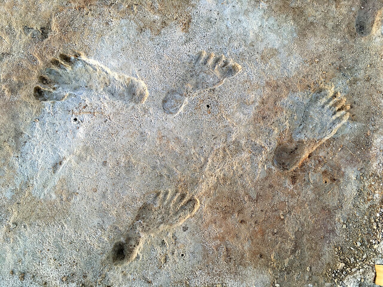 white sands human footprints