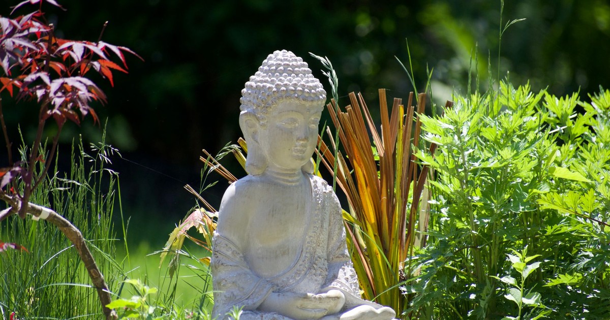 Buddha statue surrounded by vibrant green foliage, creating a peaceful garden ambiance.