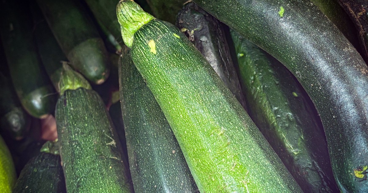 A close-up view of fresh green zucchinis showcasing their vibrant texture.
