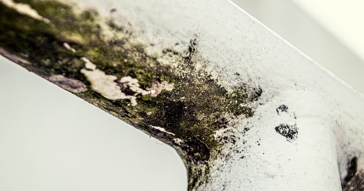 a close up of a piece of metal with moss growing on it