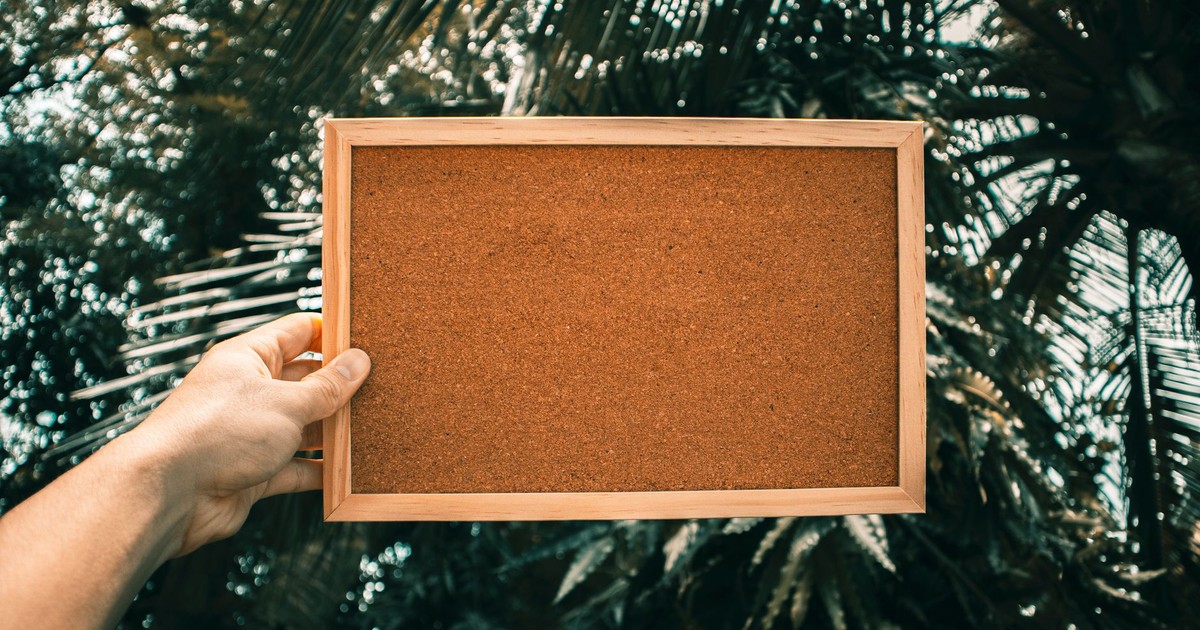 Close-up of an empty bulletin board held by a person with palm trees in the background.