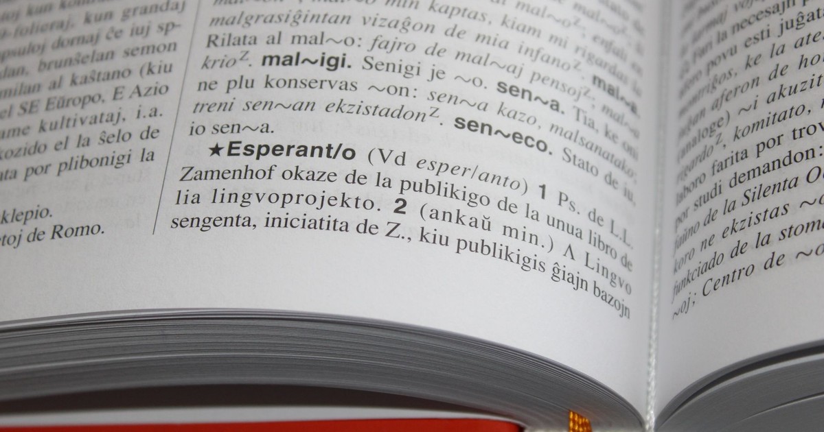 Close-up of an open book featuring text and definitions in Esperanto language.