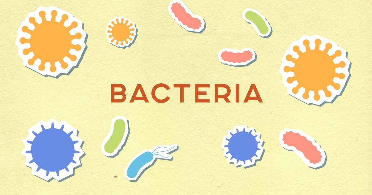 From above of decorative paper appliques with Bacteria title among assorted cells on light background