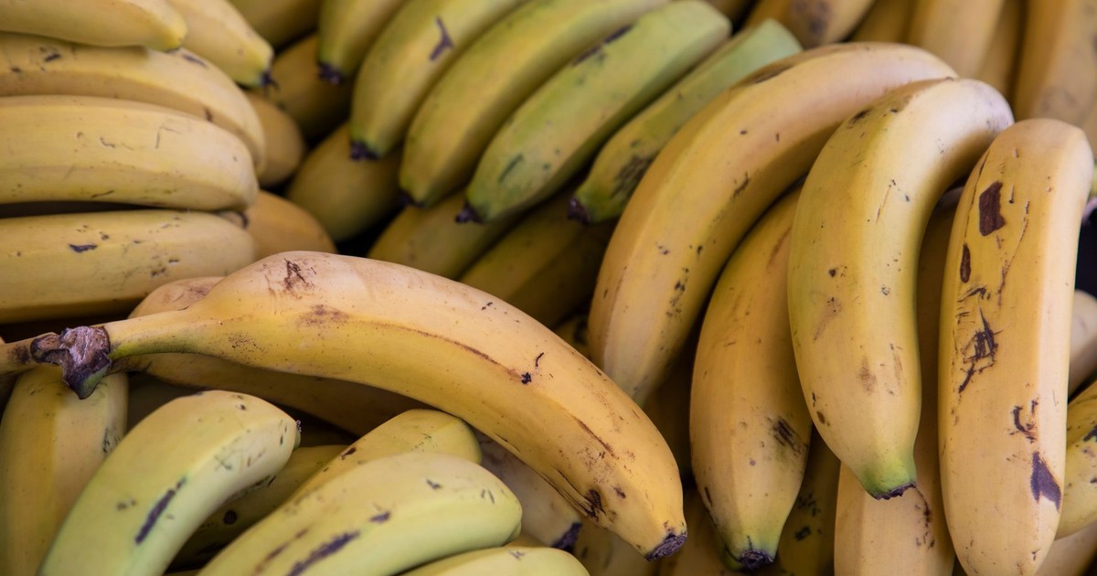 A detailed close-up shot of fresh ripe organic bananas showcasing their vibrant yellow color and texture.
