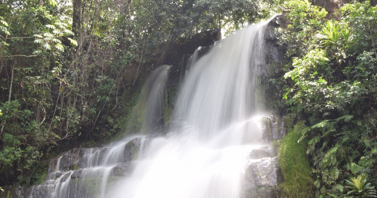 Captivating view of a cascading waterfall in a vibrant tropical rainforest with lush greenery.