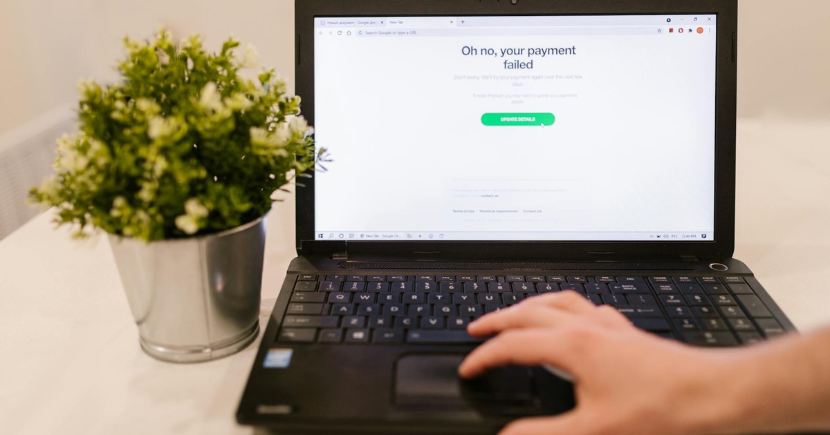 Person using laptop with payment failure message on screen and plant beside it.