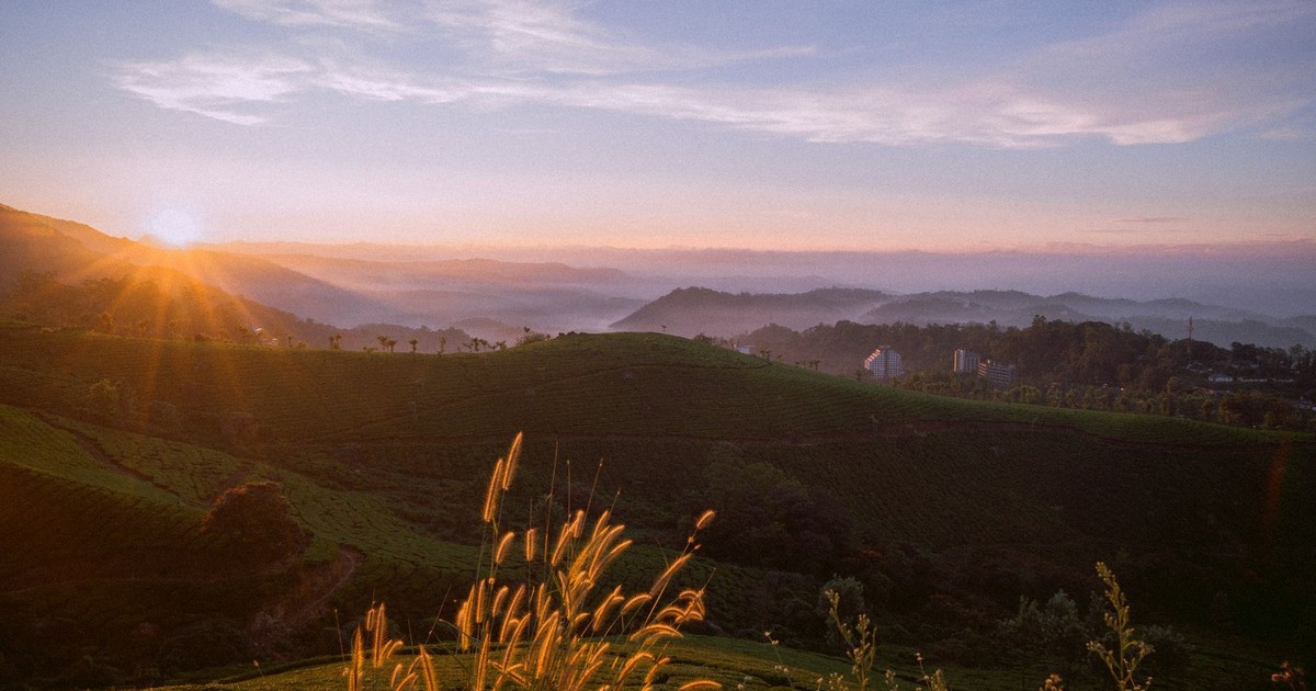 Captivating sunrise over lush green hills with a golden glow, perfect for serene nature lovers.