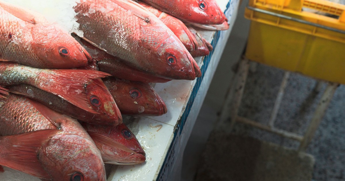 Close-up of red snapper fish on ice at a market, showcasing freshness and vibrant color.