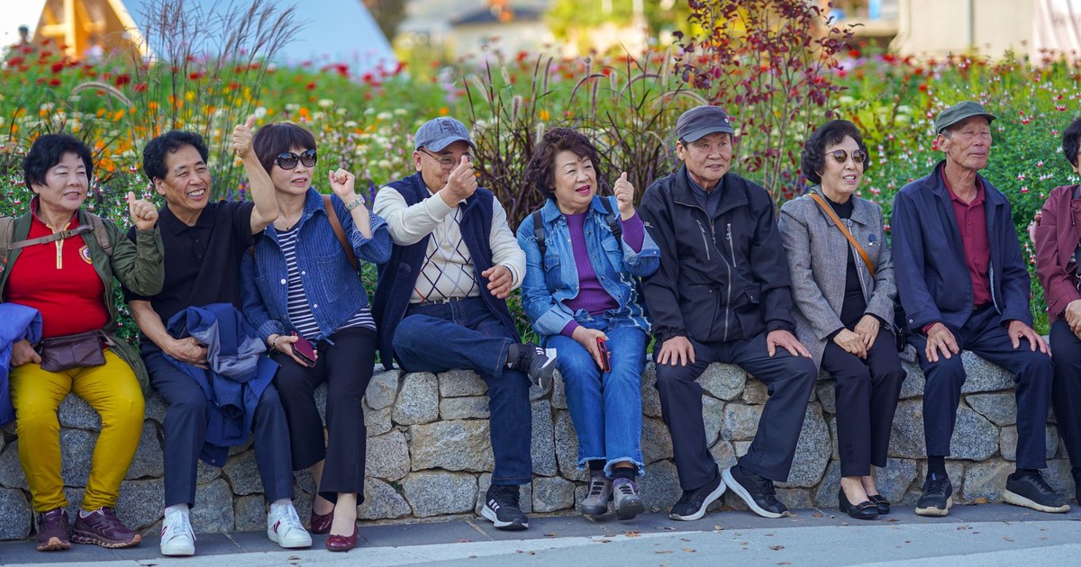 Cheerful group of senior adults sitting and gesturing in a scenic park in Seoul.
