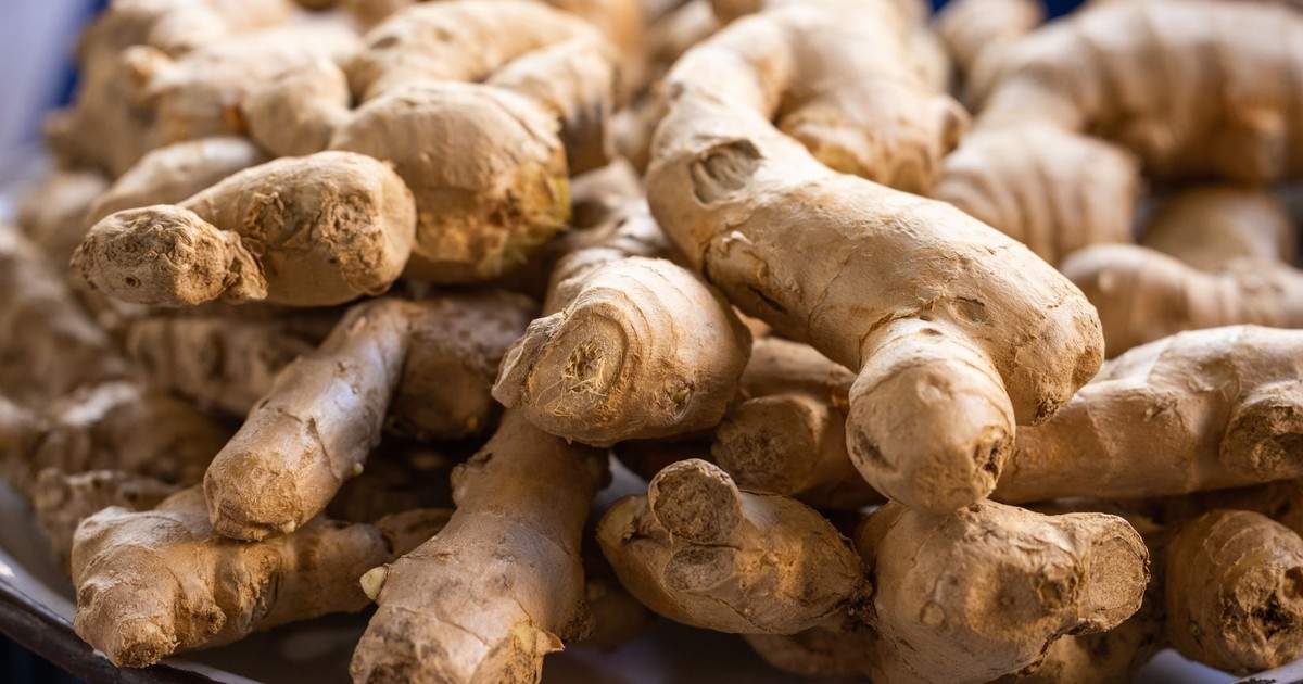 A close-up photo of fresh, raw ginger roots piled on a plate. Perfect for culinary use.