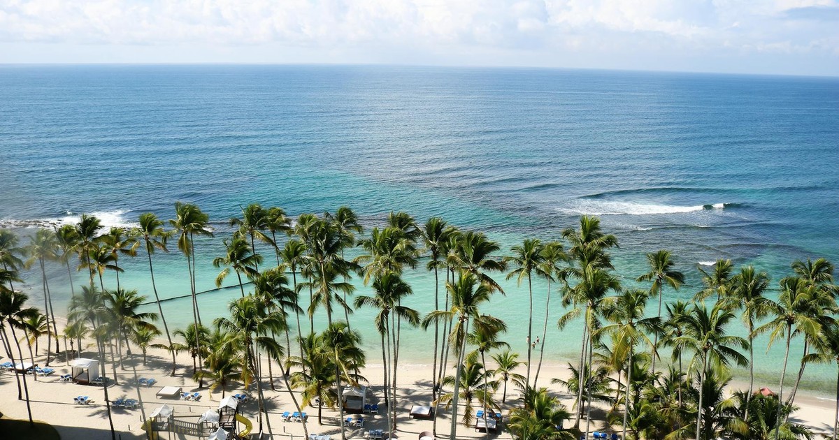 Aerial view of a serene beach with palm trees and turquoise waters in the Dominican Republic.