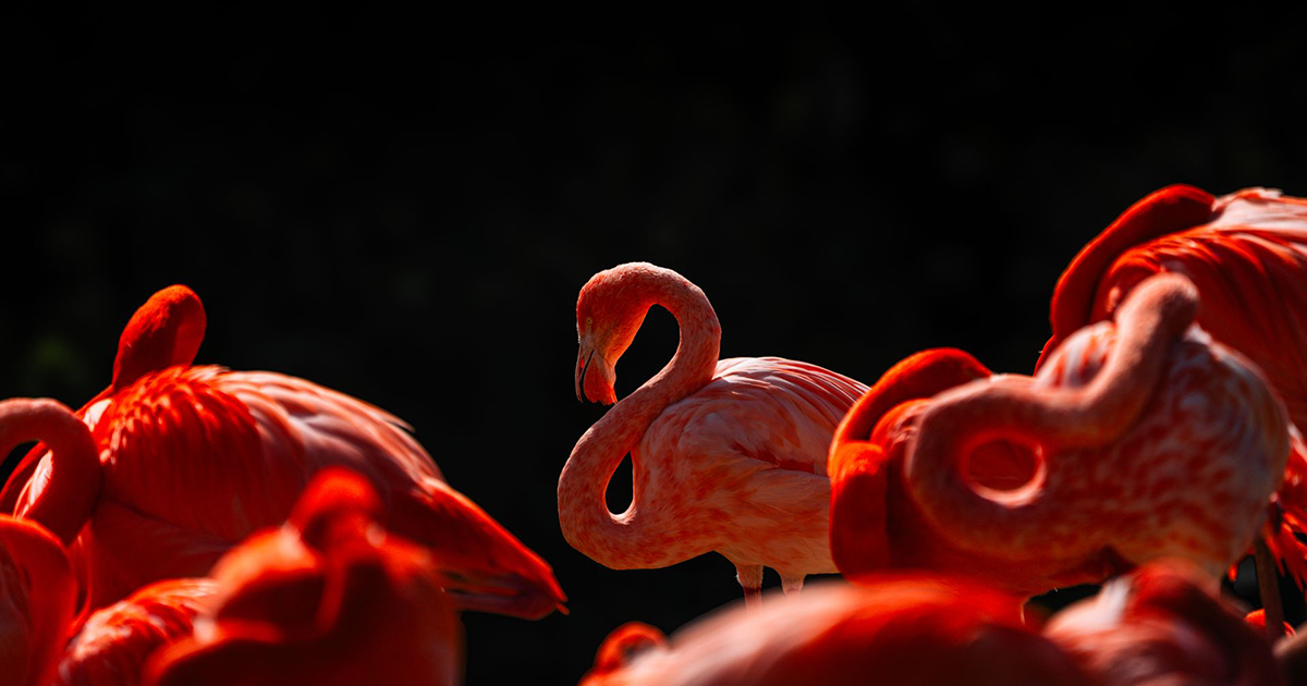 The #1 Retirement Community in Florida Is a Small River Town Full of Wildlife (and it’s ranked 3rd in the nation)