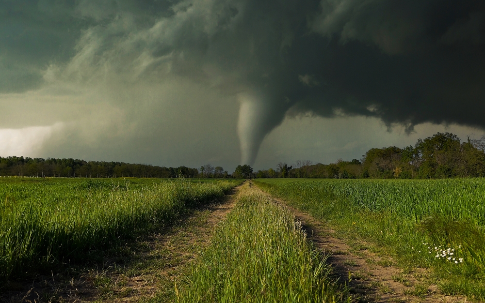 Dirt road through the field with a thunderstorm in the background