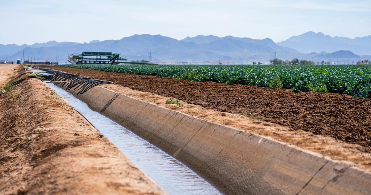 A scenic view of an irrigation canal running through farmland with mountains in the background.