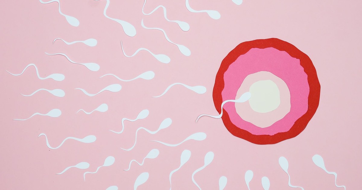 Illustration of sperm reaching an egg with a pink background, symbolizing fertilization.