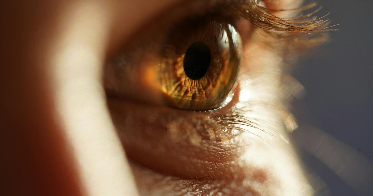 Detailed macro photography focusing on the brown human eye and lashes, showcasing intricate details.