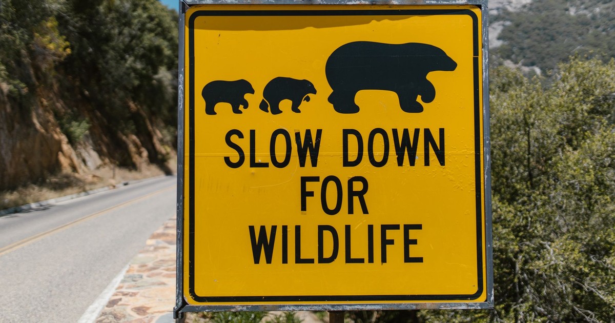 A yellow warning sign urging drivers to slow down for wildlife near a scenic road.