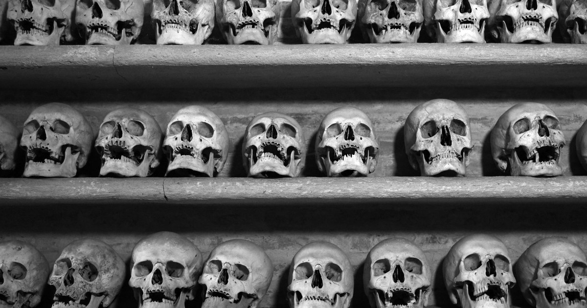 Row of skulls displayed on shelves, creating a haunting and ominous atmosphere.