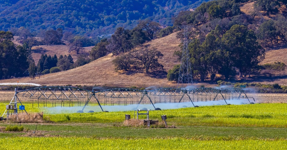 Green agricultural field with irrigation system and hills in the background.