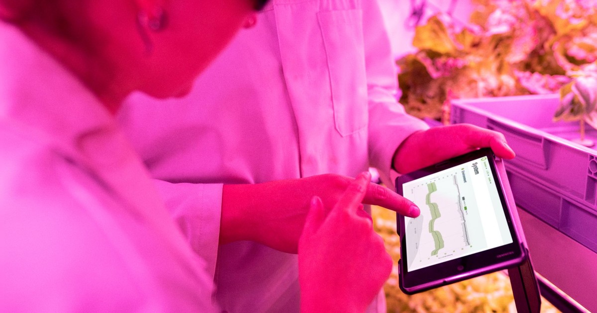 Scientists monitor crop growth in an indoor farm using digital tablets for efficient data analysis.