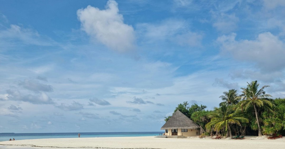Idyllic tropical beach with a hut, palm trees, and clear blue skies. Perfect vacation spot.