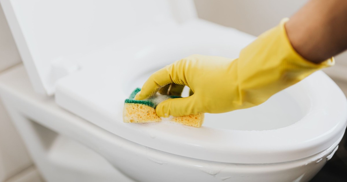 From above of crop anonymous person in rubber gloves using soapy sponge while cleaning toilet bowl