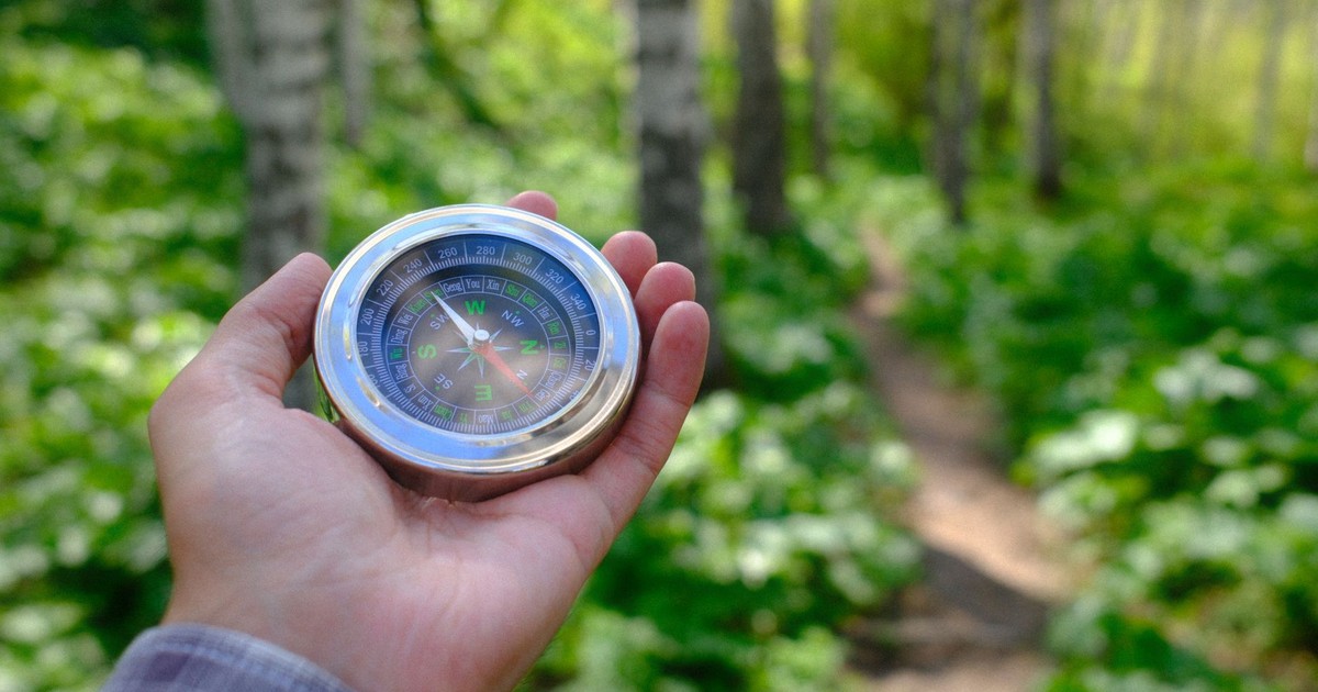 Close-up of a hand holding a compass in a lush green forest, guiding the way.