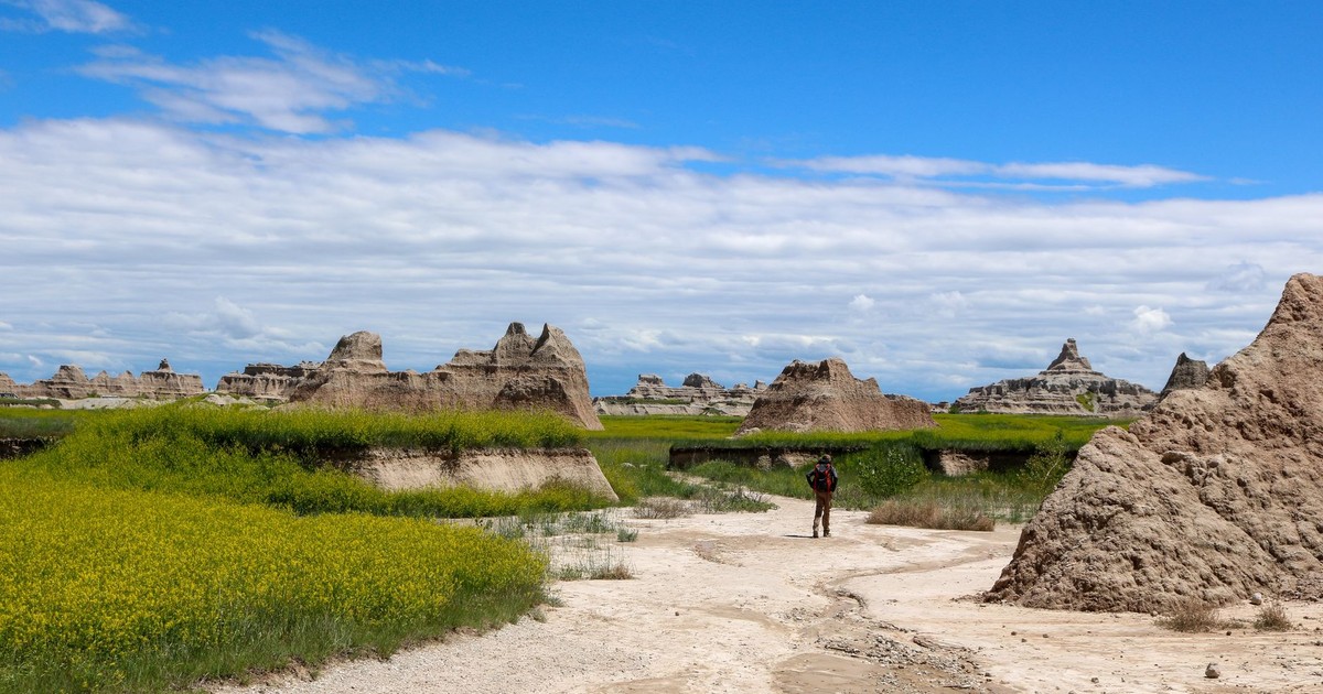 A lone hiker walking through the unique geological formations of Badlands National Park under a clear blue sky.