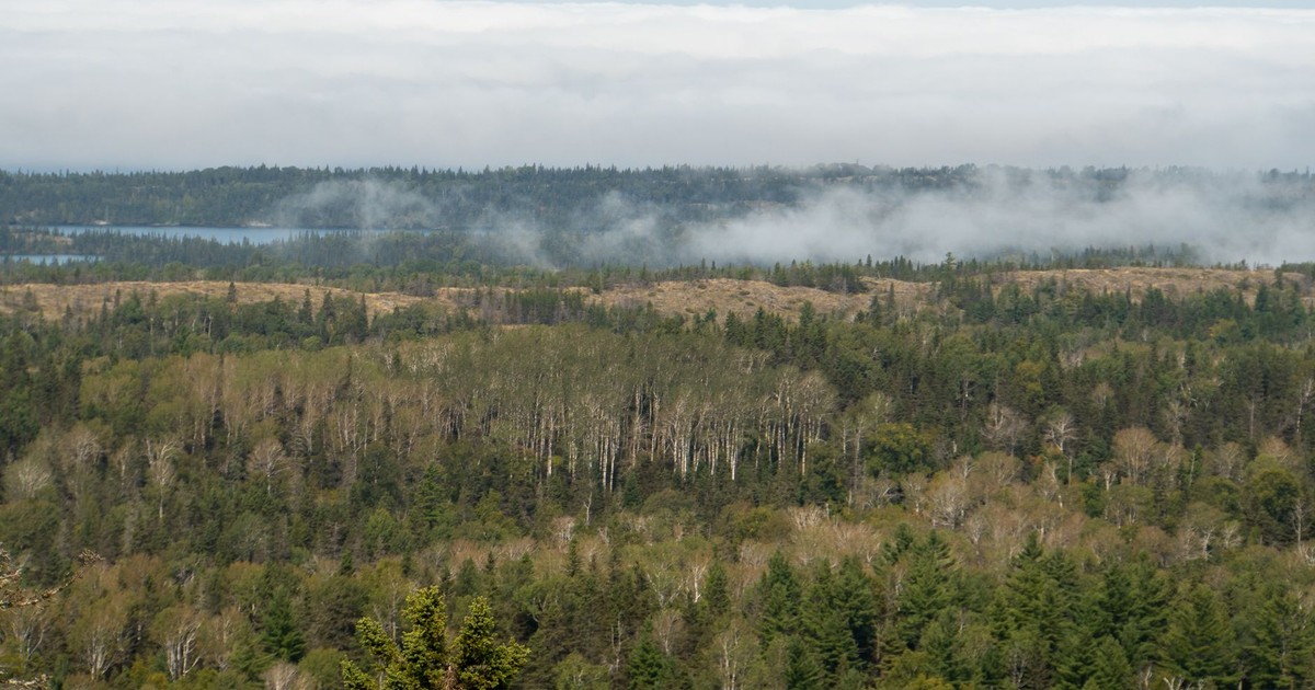 Scenic view of fog-covered forests and lakes in Isle Royale National Park, Michigan.