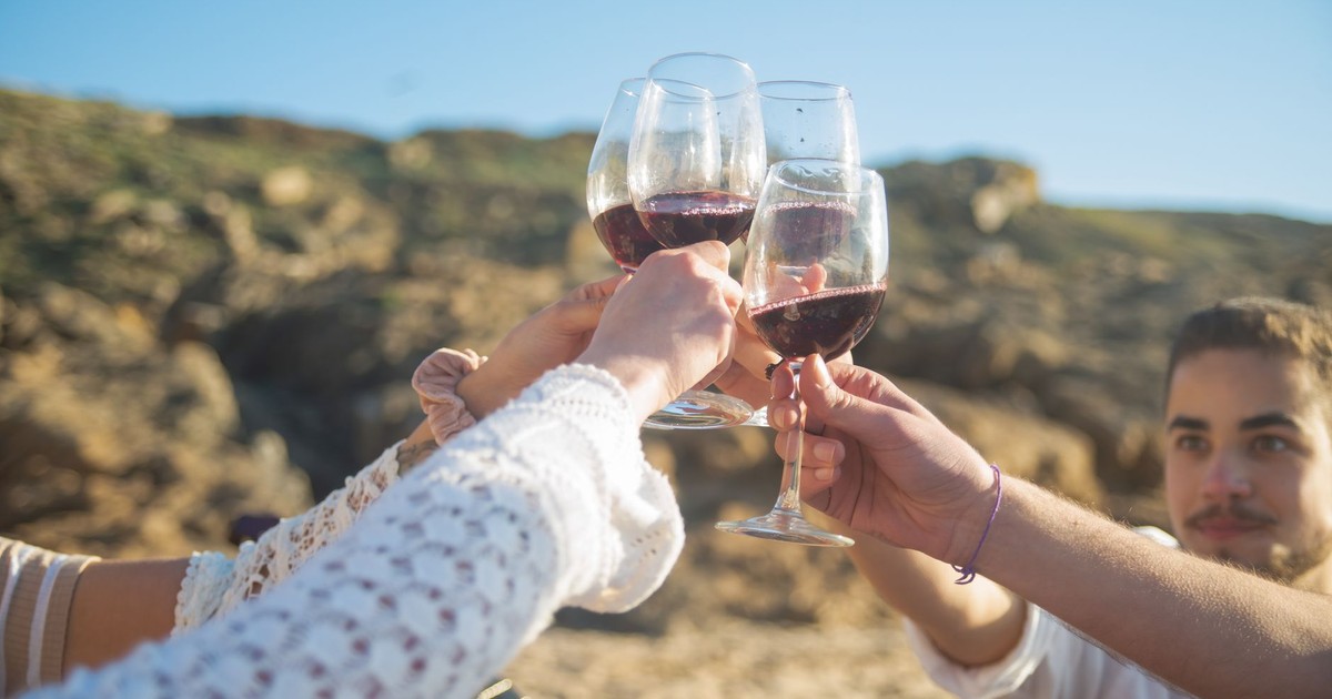 Friends toasting with red wine outdoors in a sunny Portuguese landscape.