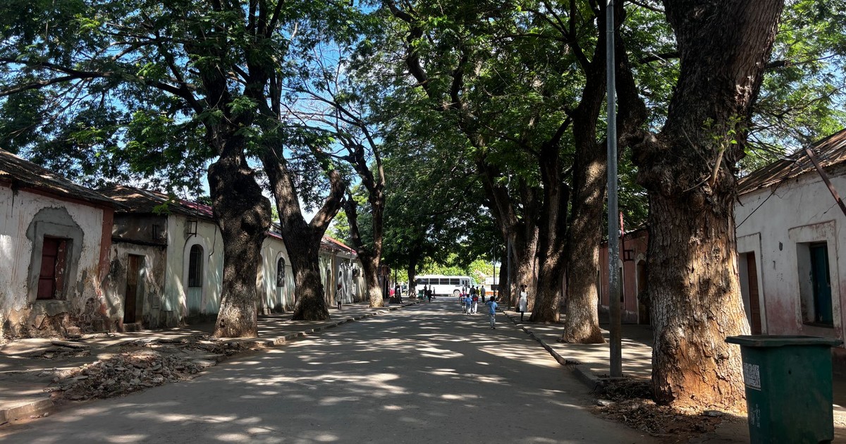 Charming tree-lined street with traditional buildings in a historic Angolan village under a bright blue sky.