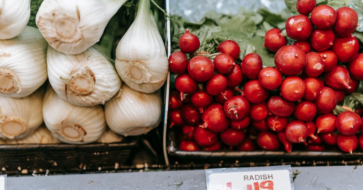Heap of fresh red radish near pile of fennel placed on shelf with price in light grocery store with vegetables