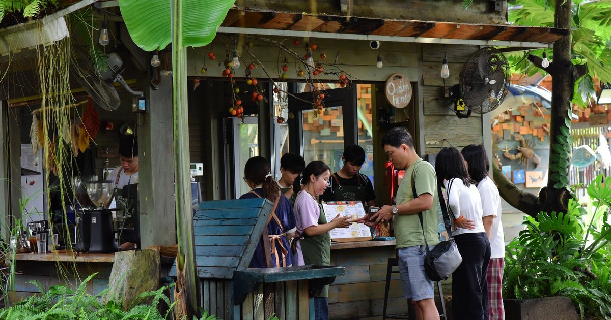A small group of people gathered at an outdoor coffee shop in a verdant, tropical setting.