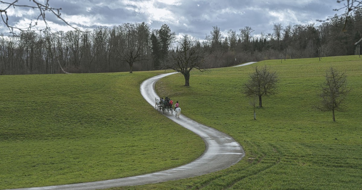 A serene horse-drawn carriage ride on a scenic winding path through lush green countryside.
