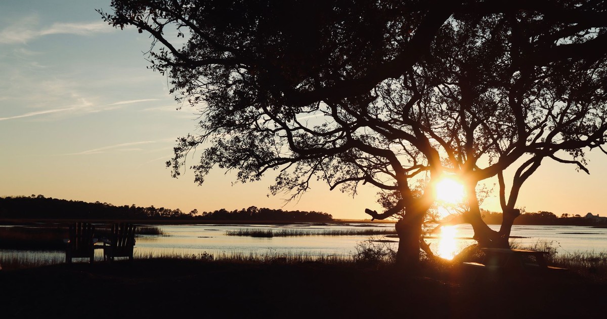 Beautiful sunset over Charleston marshes with silhouette of trees and water reflections.