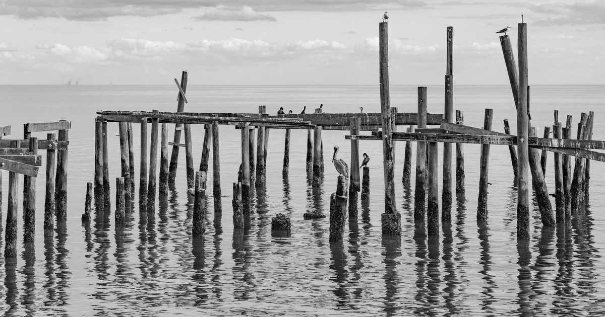 Monochrome view of a weathered pier with birds at Cedar Key, Florida.
