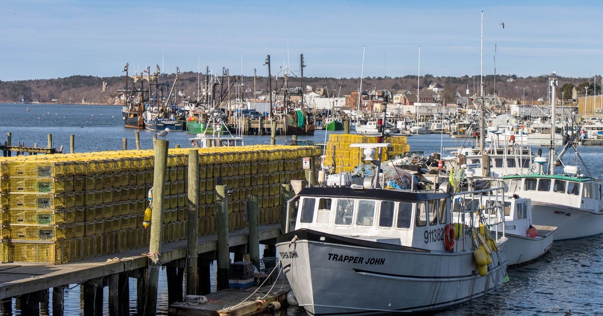 Coastal harbor view with moored fishing boats and lobster traps in bright sunlight.
