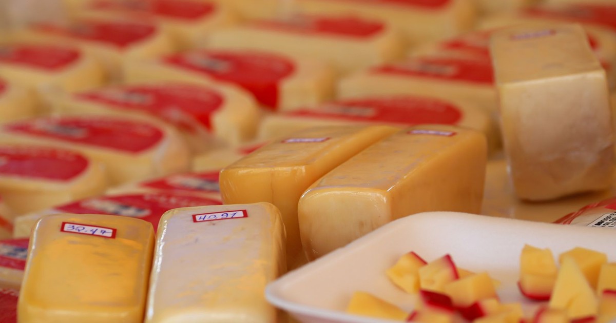 Variety of cheese blocks and samples on display at a market stall.