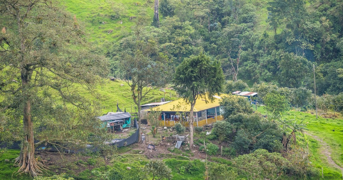 A serene farm nestled in the lush Colombian mountains, showcasing vibrant greenery and rustic charm.