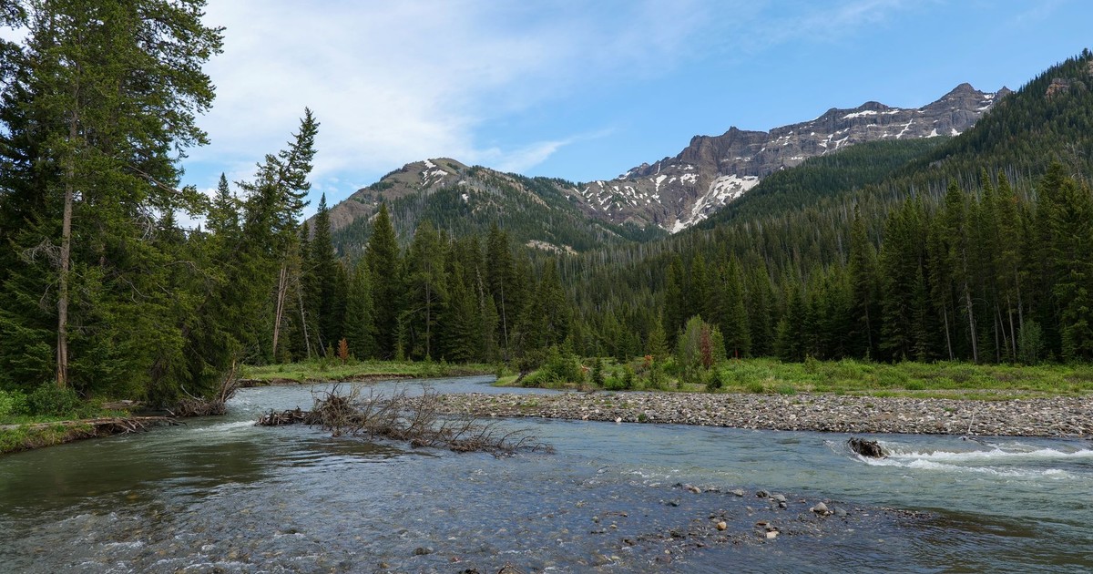 Peaceful river and mountain landscape in Yellowstone National Park, Wyoming.