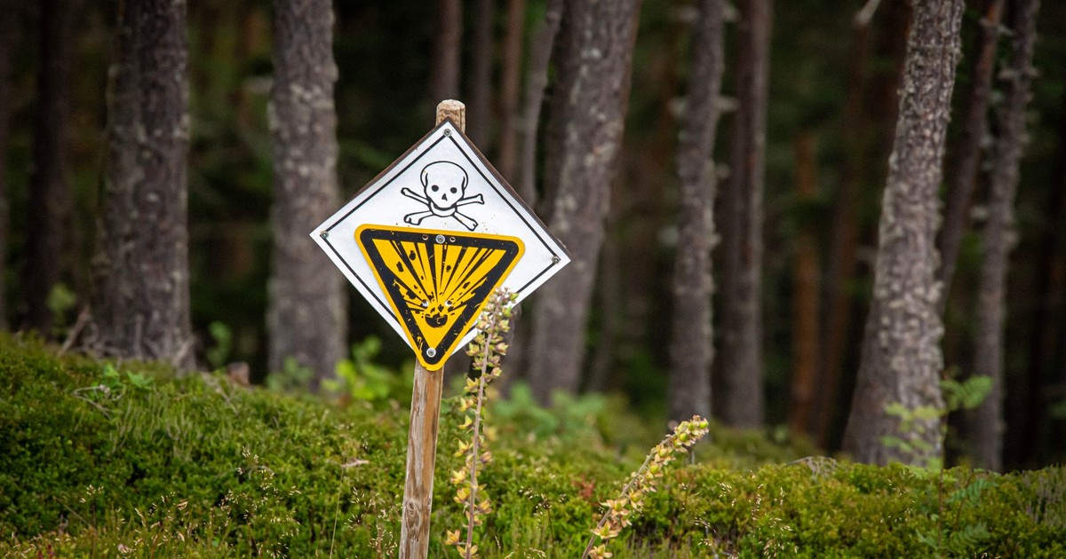 A caution sign with a skull and warning symbol in a forest alerts visitors to potential danger.