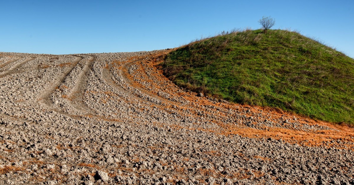 A vivid landscape depicting a freshly plowed field juxtaposed with a grassy hill under a clear blue sky.