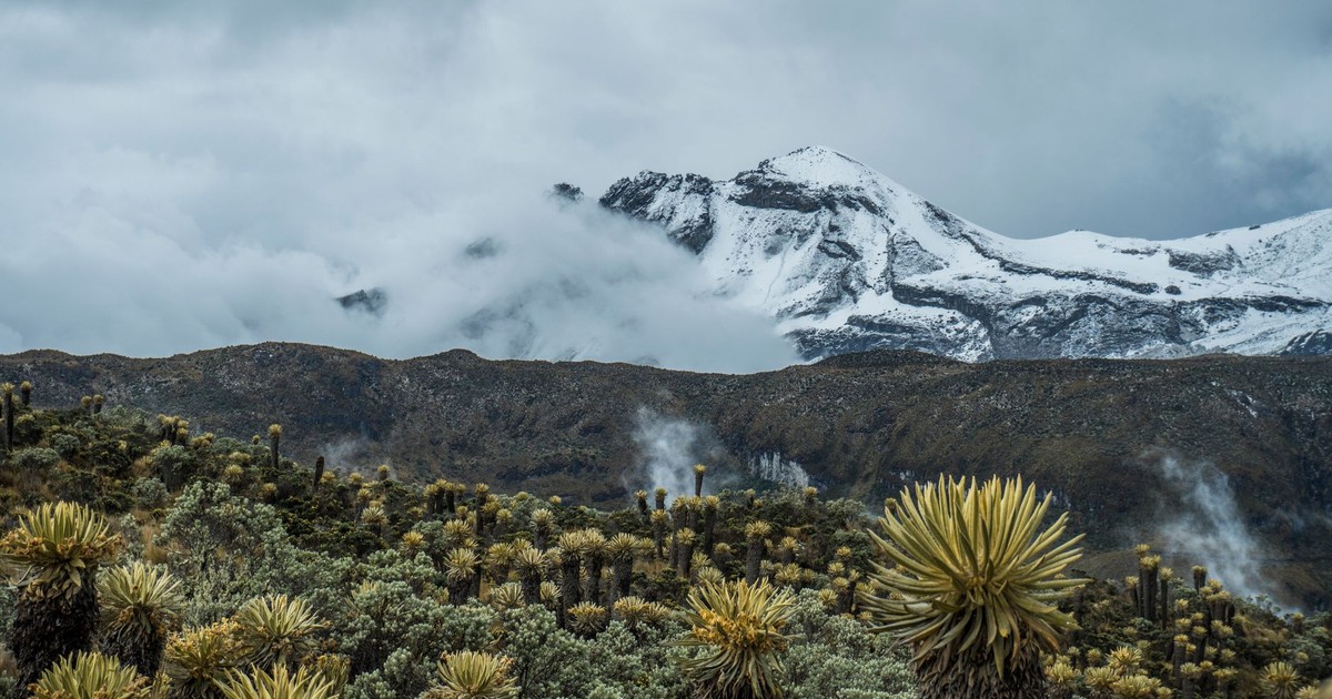 Snowy peaks and lush vegetation in Colombia's Sierra Nevada del Cocuy.