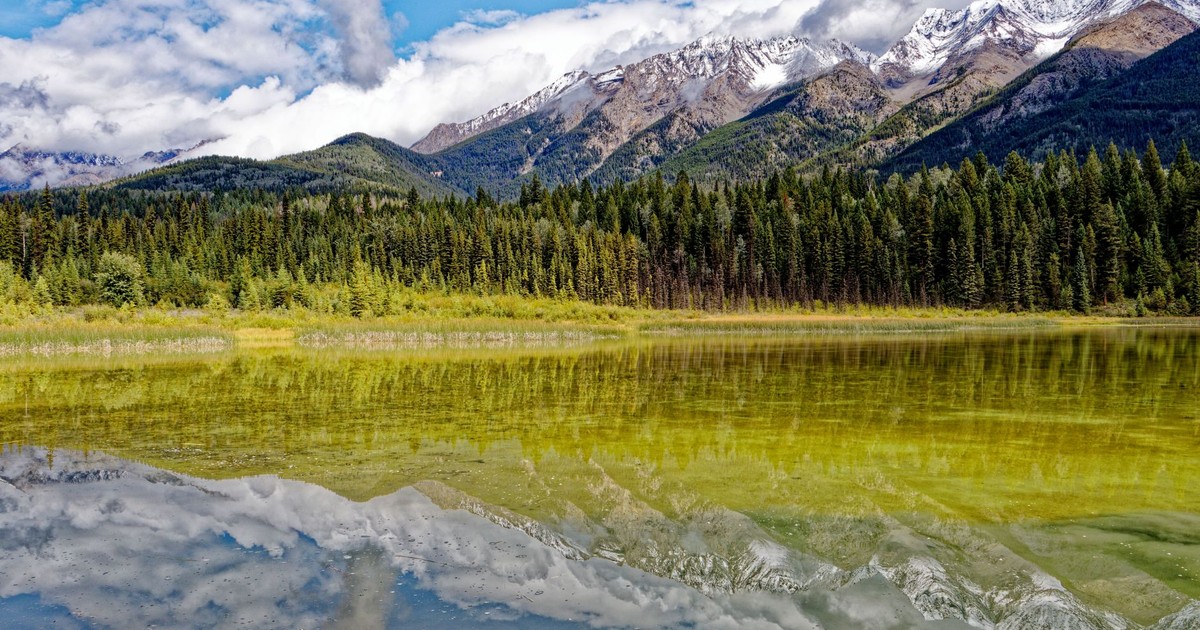 Majestic view of the Canadian Rockies reflecting in a tranquil lake in British Columbia.