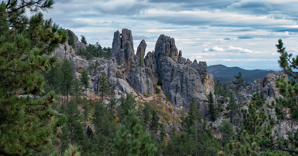 Breathtaking view of needle-like rock formations surrounded by lush greenery in Hill City, South Dakota.