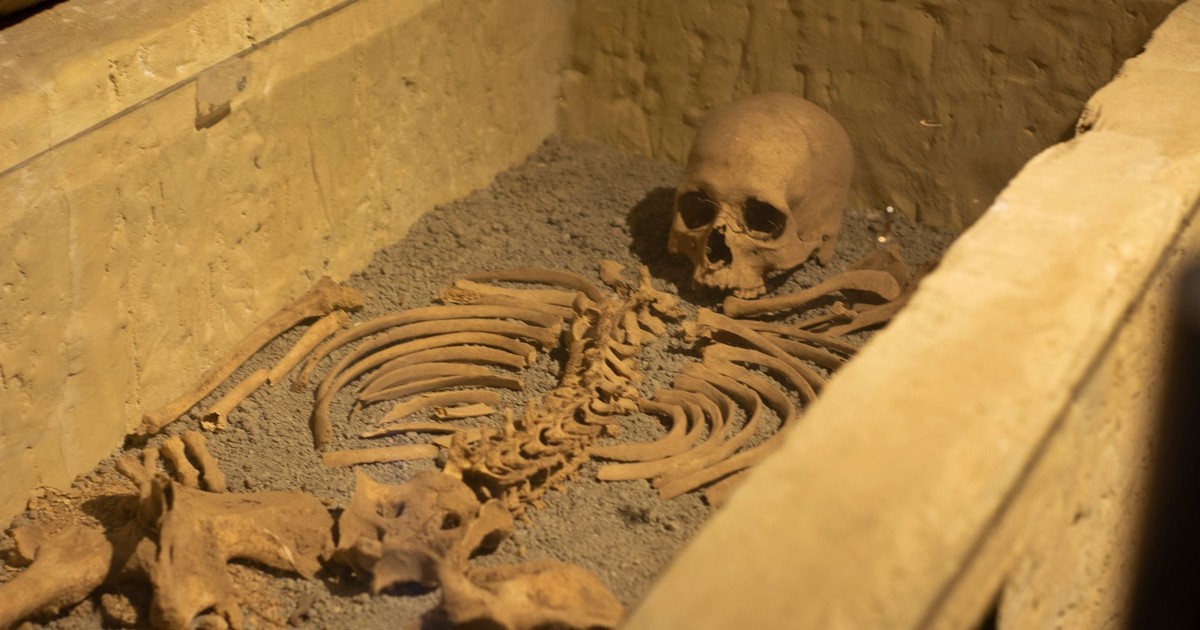 A detailed view of an ancient human skeleton in a coffin, ideal for historical studies.