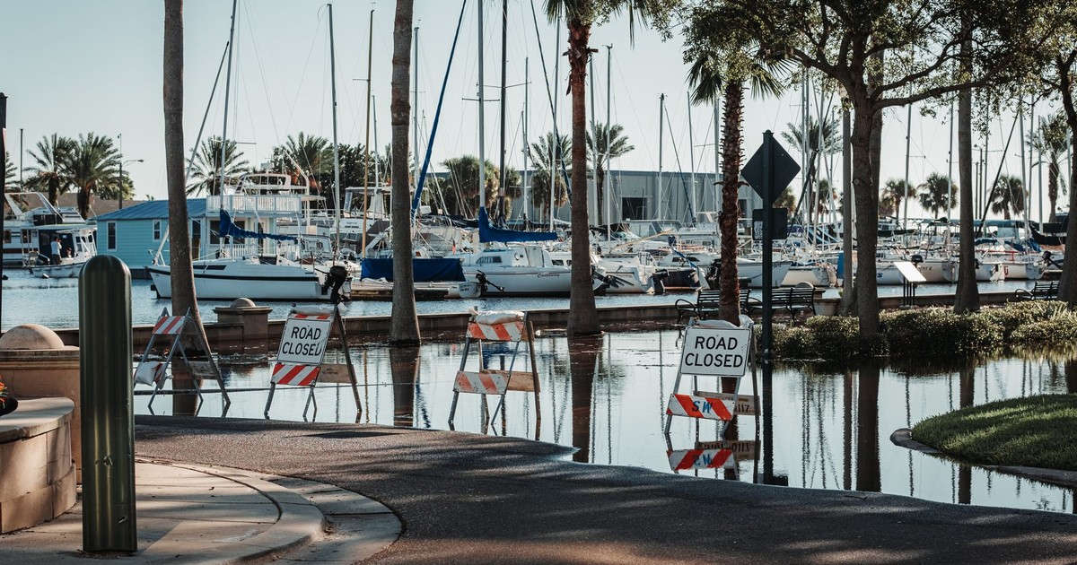 A flooded street near a harbor with sailboats and 'road closed' signs during the day.