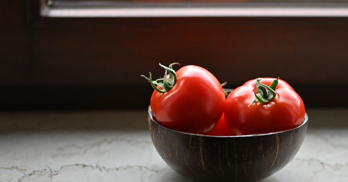 Vibrant red tomatoes in a rustic wooden bowl placed by a sunny window, perfect for illustrating organic freshness.