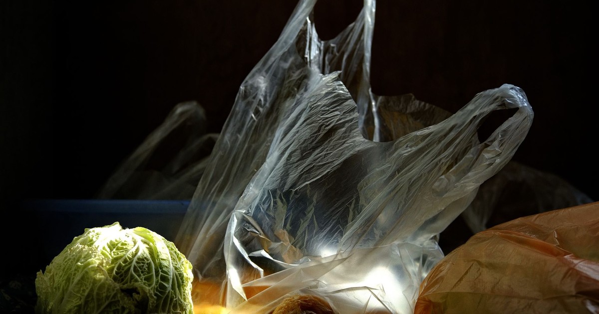 Still life of a cabbage and plastic bags with fruits illuminated in dim light, highlighting texture and shadow contrast.